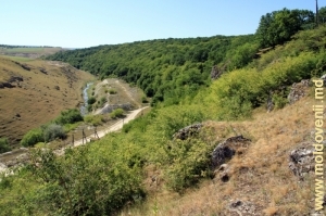 Valea rîului Racovăţ de la marginea satului Gordineşti