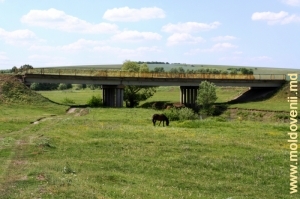 Podul peste Cubolta de la marginea satului Plop