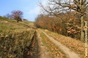Drum, sus de panta dreaptă a defileului, sus de rîul Cuşmirca