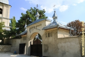Вход в монастырь Добруша, Шолдэнешть