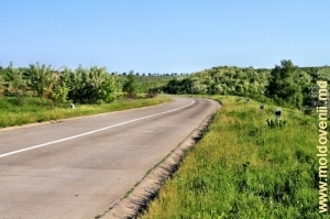 Дорога в Фэлештском р-не