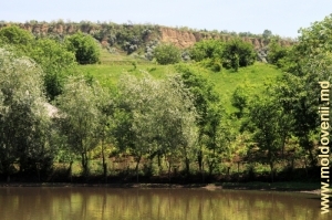 Lacul şi malul vechi al Prutului sus de satul Pruteni