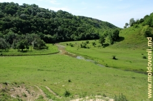 Слияние рек Богда и Раковэц у входа в Володенское ущелье