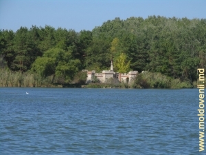 Lacul din parcul Sculeni, Chişinău, vedere spre castelul părăginit