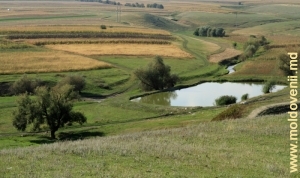 Озерцо в Бричанeском районе
