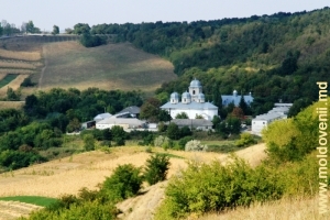 Vedere spre Mănăstirea Dobruşa şi împrejurimile acesteia din vîrful stîncii „Gologota”, prim-plan