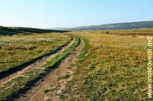 Дорога вдоль Рэута у села Саратений Векь, Теленешть