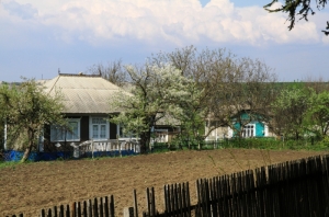 Крестьянский дом в с. Брынзень весной
