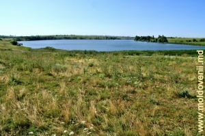 Lacul de acumulare de mari dimensiuni dintre satele Halahora de Jos, Briceni şi Tîrnova, Edineţ