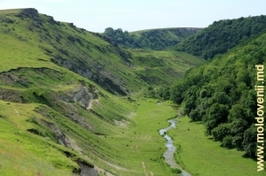 Valea rîului Racovăţ între Defileul „La Castel” şi Defileul Volodensc