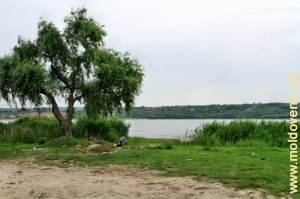 Vedere spre lacul de acumulare în apropiere de baraj, malul stîng