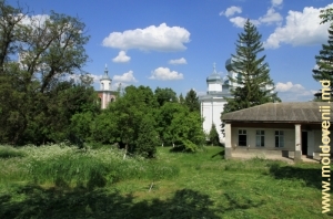 Vedere spre ambele biserici ale Mănăstirii Hîrbovăţ -primăvara, plan îndepărtat, 2011
