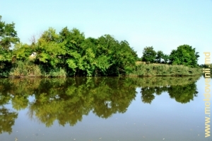 Lacul de acumulare din satul Mărcăuţi, Briceni