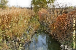 Река Бык на окраине Кишинева