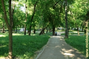 Аллея в муниципальном парке Бельц 