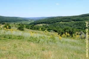 Vedere a satului Leordoaia din vîrful dealului, situat sus de acesta