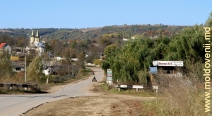 Intrarea în satul Vălcineţ, Călăraşi