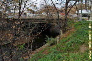 Poduri peste Bîc, Chişinău