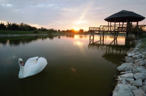 Пуркарь, район Штефан-Водэ. Озеро близ известного винзавода, поставлявшего продукцию ко двору королевы Британии.