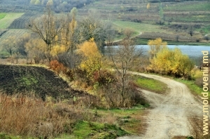 Долина реки Бык и водохранилище у села Петичень