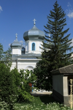 Biserica de vară a mănăstirii Hîrbovăţ primăvara, 2011