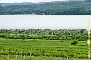 Вид на водохранилище с левого берега