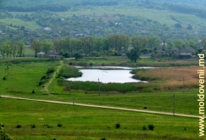 Lacul din satul Pojarna, fostul iaz al boierului, astăzi în paragină