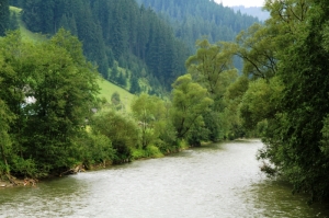 Река Бистрица, Сучава