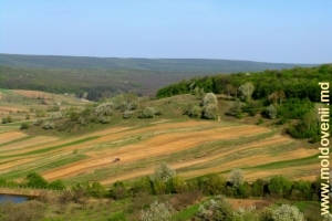Împrejurimile satului Căpriana, Străşeni