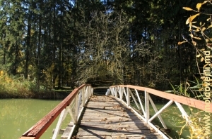 Pod peste lacul din apropierea satului Sadova, Călăraşi