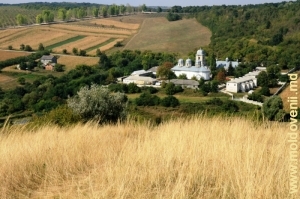 Вид на монастырь Добруша и его окрестности с вершины горы «Голгофа», средний план