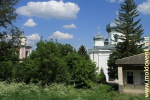 Vedere spre ambele biserici ale Mănăstirii Hîrbovăţ - primăvara, prim-plan, 2011