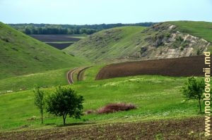 Valea rîului Lopatnic şi vederea spre defileul de sus de rîu, de la marginea s. Caracuşenii Vechi