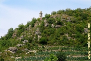 Оконечность толтровой гряды с террасами виноградников на склоне и Башней ветров на вершине
