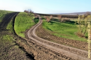 Drum de primăvară în raionul Rezina