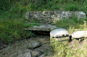 Izvorul de lîngă satul Goian, apele căruia se scurg în Ichel