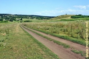 Drumul din valea rîului Racovăţ lîngă satul Halahora de Jos, Briceni