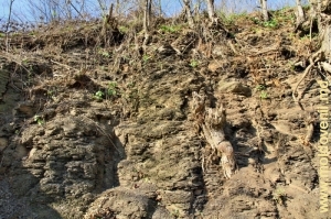 Обнажения глинистых сланцев у подножия Рудого яра